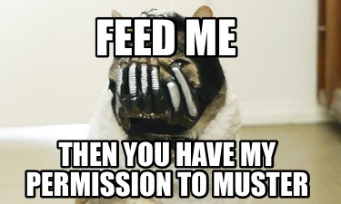 feed-me-then-you-have-my-permission-to-muster