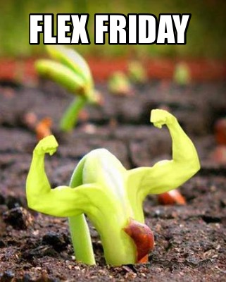 flex-friday0