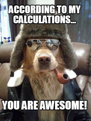 according-to-my-calculations...-you-are-awesome