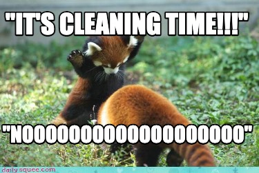 Strengt forvisning Betydning Meme Creator - Funny "It's cleaning time!!!" "NOOOOOOOOOOOOOOOOOOO" Meme  Generator at MemeCreator.org!