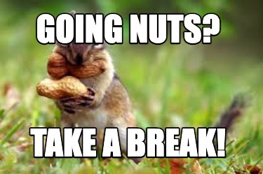 going-nuts-take-a-break5