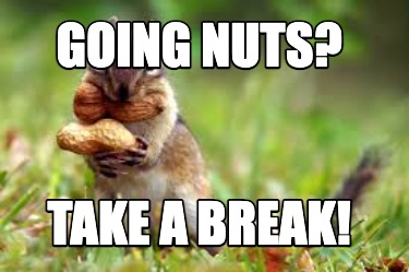 going-nuts-take-a-break5