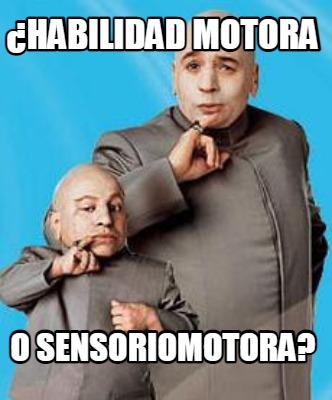 habilidad-motora-o-sensoriomotora