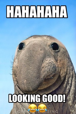 Meme Creator - Funny Hahahaha Looking good! ???????? Meme Generator at ! Meme Creator - Funny Hahahaha Looking good! ???????? Meme Generator at !