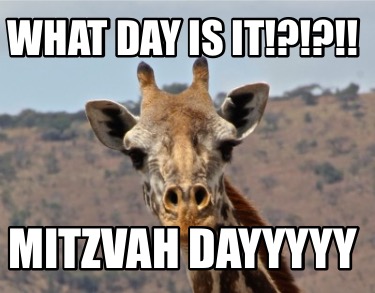 what-day-is-it-mitzvah-dayyyyy