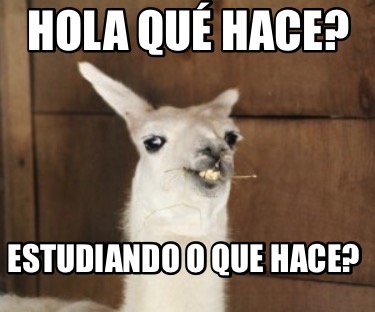 Meme Creator - Funny Hola qué hace? Estudiando o que hace? Meme Generator  at !