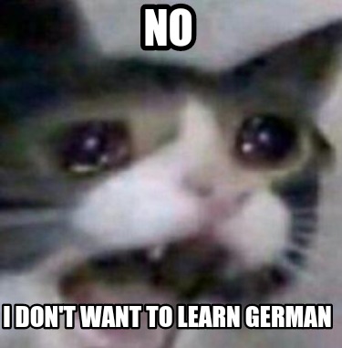 5366995.jpg
