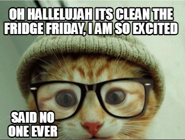 oh-hallelujah-its-clean-the-fridge-friday-i-am-so-excited-said-no-one-ever