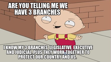 are-you-telling-me-we-have-3-branches-i-know-my-3-branches-legislative-executive
