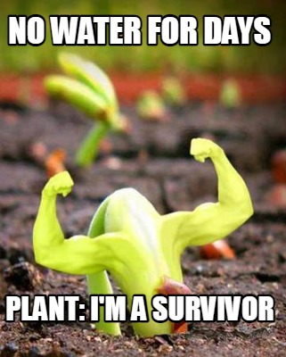 no-water-for-days-plant-im-a-survivor