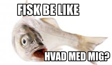 fisk-be-like-hvad-med-mig8