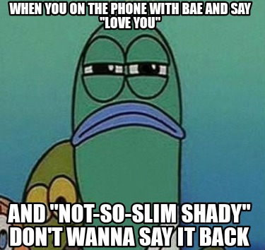when-you-on-the-phone-with-bae-and-say-love-you-and-not-so-slim-shady-dont-wanna