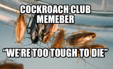 cockroach-club-memeber-were-too-tough-to-die