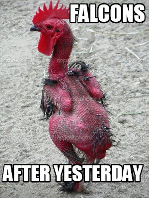 falcons-after-yesterday