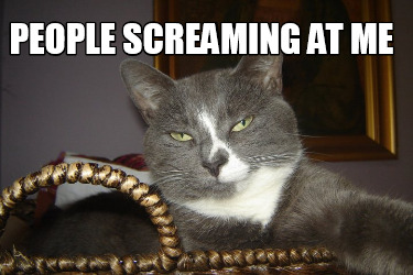 people-screaming-at-me
