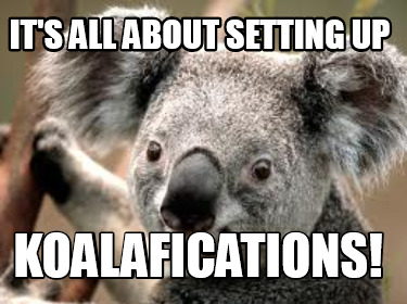 its-all-about-setting-up-koalafications