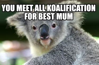 you-meet-all-koalification-for-best-mum