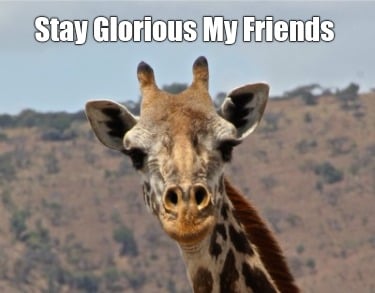 stay-glorious-my-friends