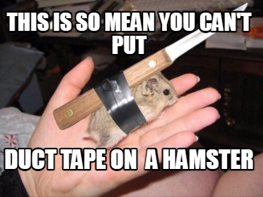 this-is-so-mean-you-cant-put-duct-tape-on-a-hamster