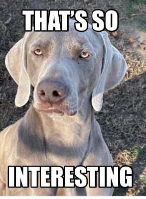 thats-so-interesting7