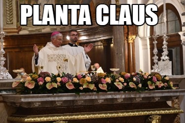 planta-claus5