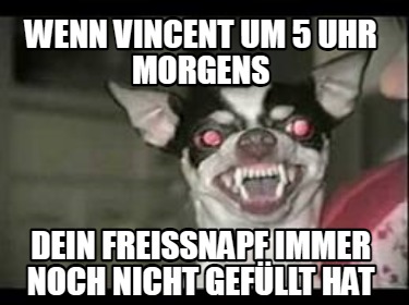 wenn-vincent-um-5-uhr-morgens-dein-freissnapf-immer-noch-nicht-gefllt-hat