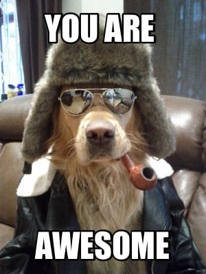 Meme Creator - Funny You Are Awesome Meme Generator at !