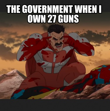 the-government-when-i-own-27-guns