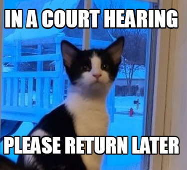 in-a-court-hearing-please-return-later