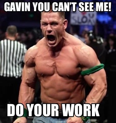 gavin-you-cant-see-me-do-your-work