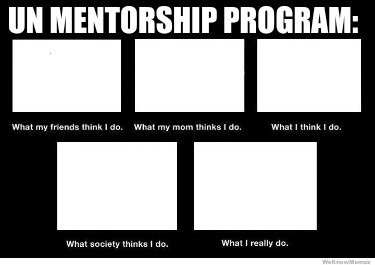 un-mentorship-program