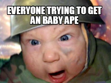 everyone-trying-to-get-an-baby-ape