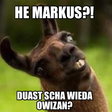 he-markus-duast-scha-wieda-owizan