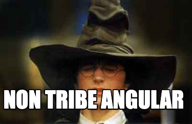 non-tribe-angular