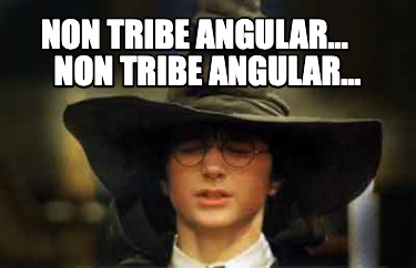 non-tribe-angular...-non-tribe-angular