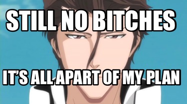 still-no-bitches-its-all-apart-of-my-plan