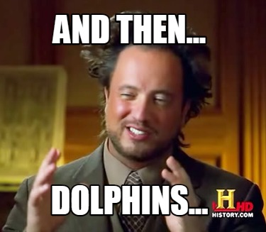 and-then...-dolphins