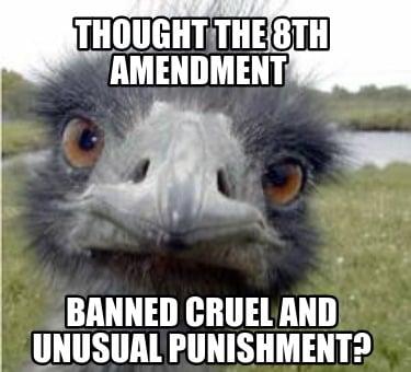 thought-the-8th-amendment-banned-cruel-and-unusual-punishment