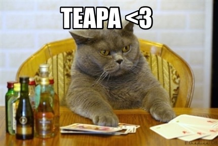teapa-7