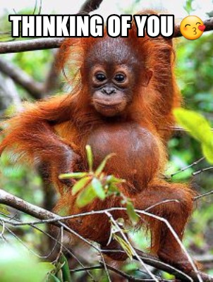 Meme Creator Monkey Meme Generator At Memecreator Org Meme Creator Monkey Meme Generator At Memecreator Org