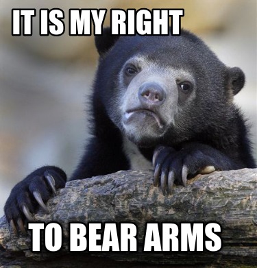 it-is-my-right-to-bear-arms