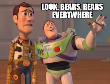 look-bears-bears-everywhere