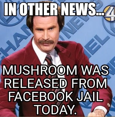 in-other-news...-mushroom-was-released-from-facebook-jail-today