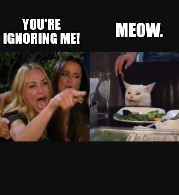 youre-ignoring-me-meow