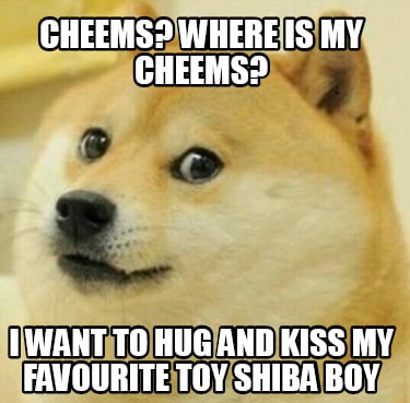cheems-where-is-my-cheems-i-want-to-hug-and-kiss-my-favourite-toy-shiba-boy
