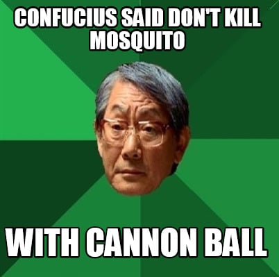 confucius-said-dont-kill-mosquito-with-cannon-ball