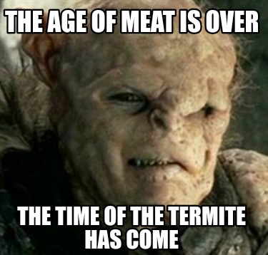 the-age-of-meat-is-over-the-time-of-the-termite-has-come