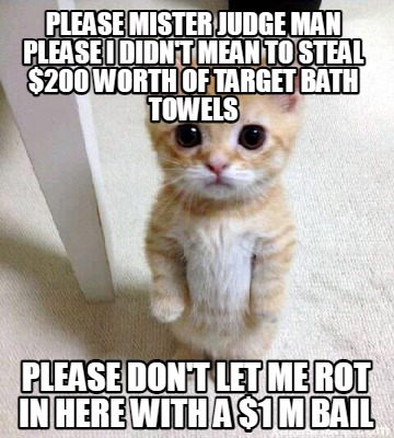 please-mister-judge-man-please-i-didnt-mean-to-steal-200-worth-of-target-bath-to
