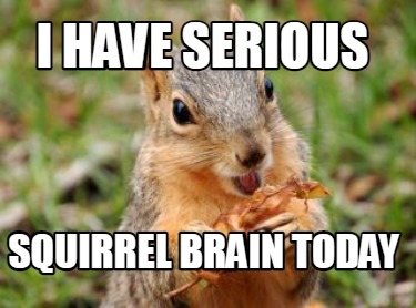 i-have-serious-squirrel-brain-today