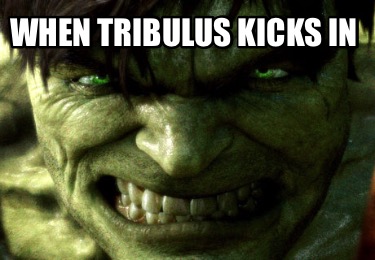 when-tribulus-kicks-in